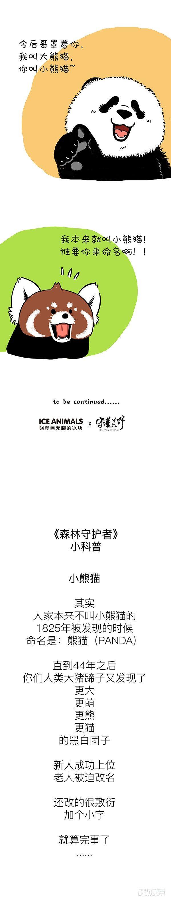 快把动物放进冰箱-199对不起，我是熊猫！全彩韩漫标签