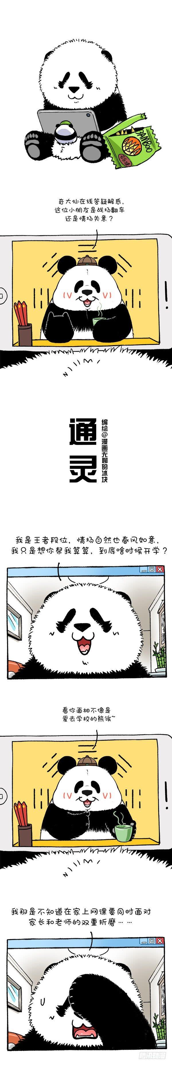 《快把动物放进冰箱》漫画最新章节213萌熊大仙在线算命免费下拉式在线观看章节第【1】张图片