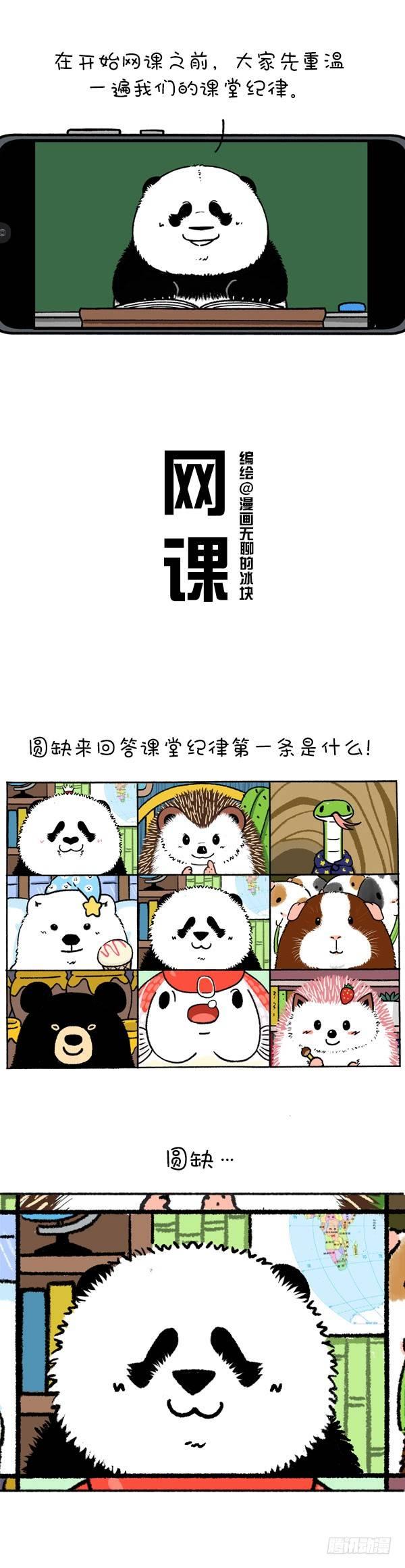 《快把动物放进冰箱》漫画最新章节219圆宝老师网课翻车现场免费下拉式在线观看章节第【1】张图片