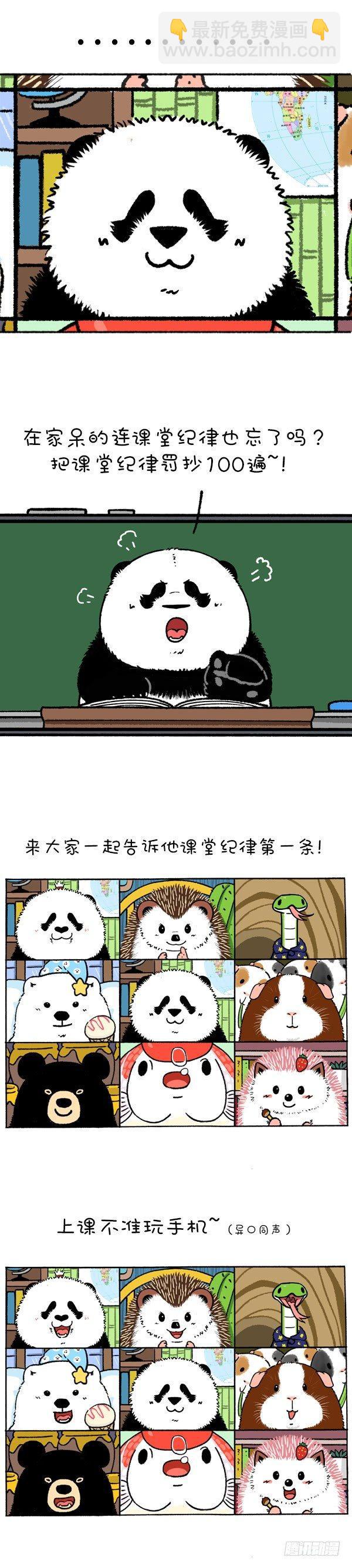 《快把动物放进冰箱》漫画最新章节219圆宝老师网课翻车现场免费下拉式在线观看章节第【2】张图片