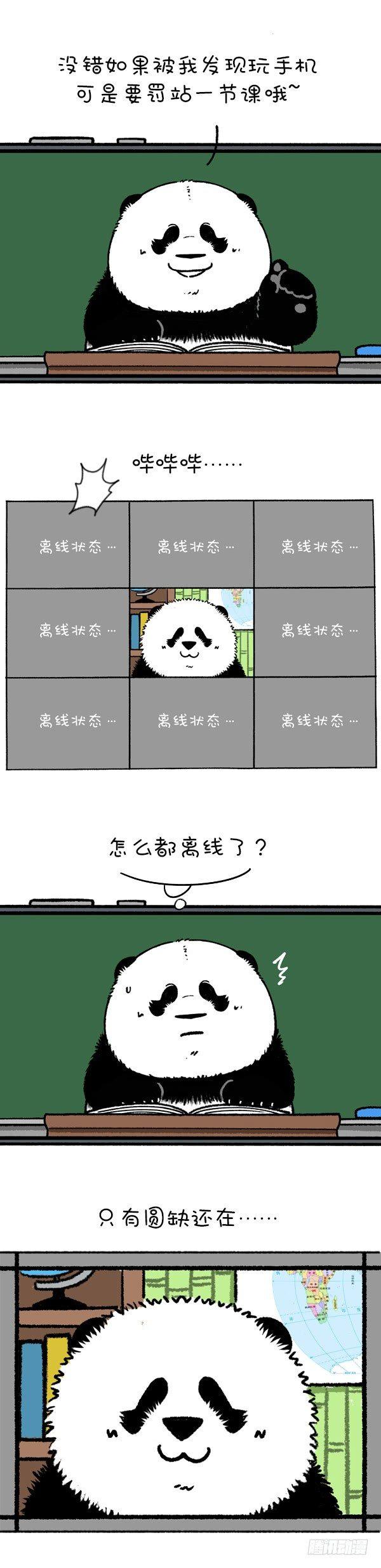 《快把动物放进冰箱》漫画最新章节219圆宝老师网课翻车现场免费下拉式在线观看章节第【3】张图片