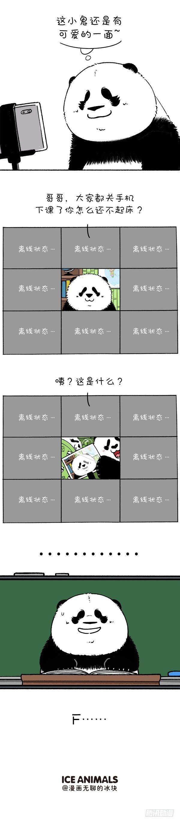 《快把动物放进冰箱》漫画最新章节219圆宝老师网课翻车现场免费下拉式在线观看章节第【4】张图片