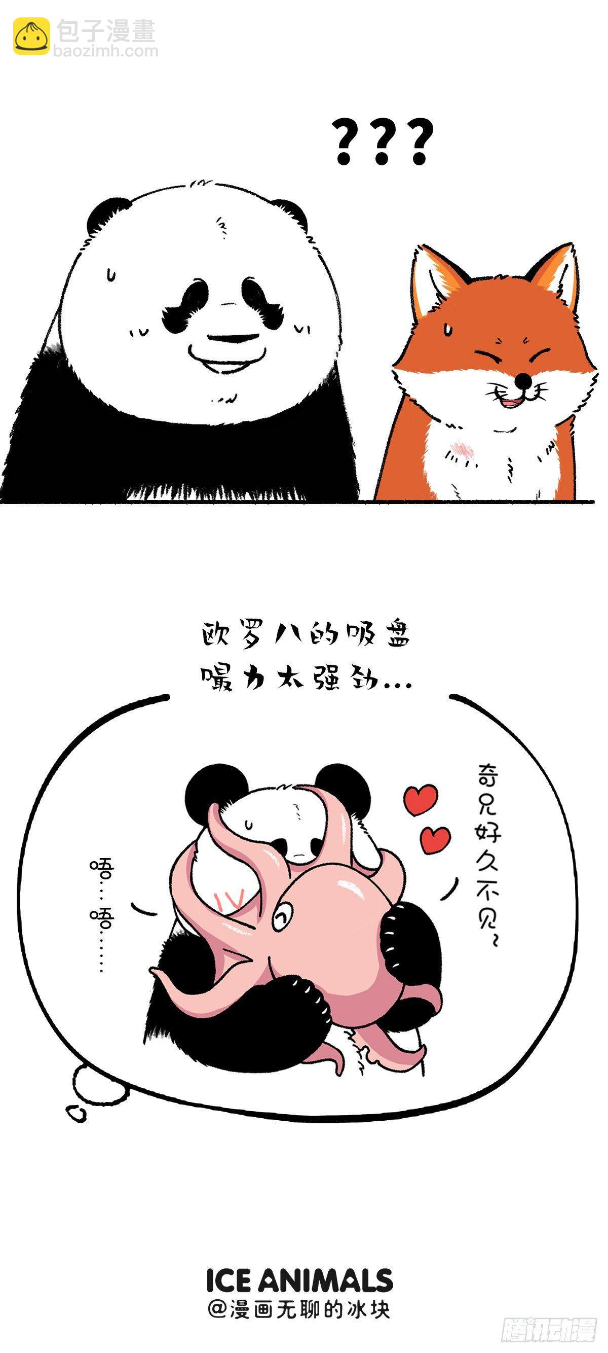 《快把动物放进冰箱》漫画最新章节别误会，我不是随便的熊……免费下拉式在线观看章节第【3】张图片