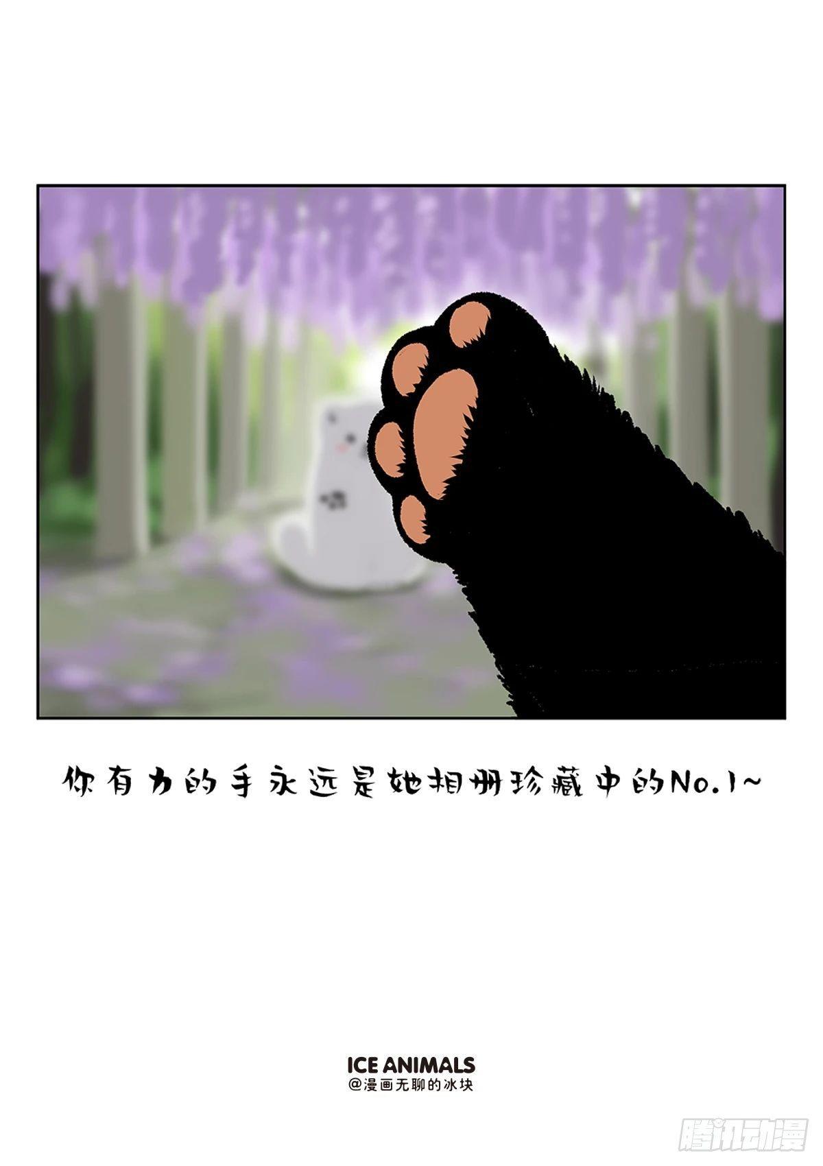 《快把动物放进冰箱》漫画最新章节阿直恋爱课堂Lesson4免费下拉式在线观看章节第【8】张图片