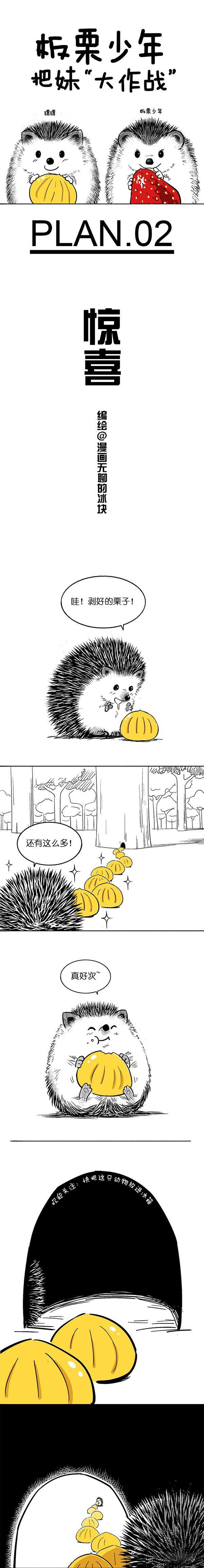 《快把动物放进冰箱》漫画最新章节024惊喜免费下拉式在线观看章节第【1】张图片