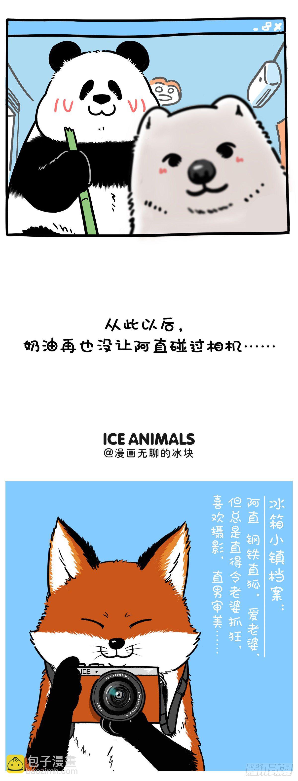 《快把动物放进冰箱》漫画最新章节照片这一拍，生活就很嗨~免费下拉式在线观看章节第【6】张图片