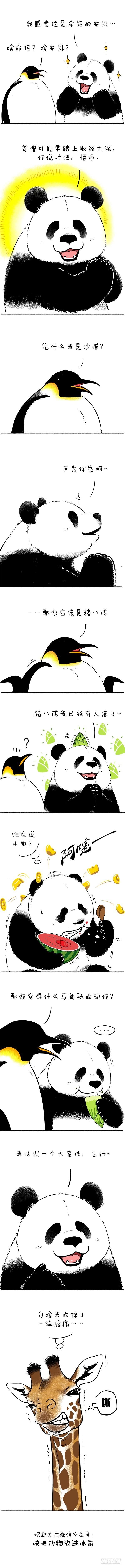 《快把动物放进冰箱》漫画最新章节095蛋是怎么被冷死的（下）免费下拉式在线观看章节第【1】张图片