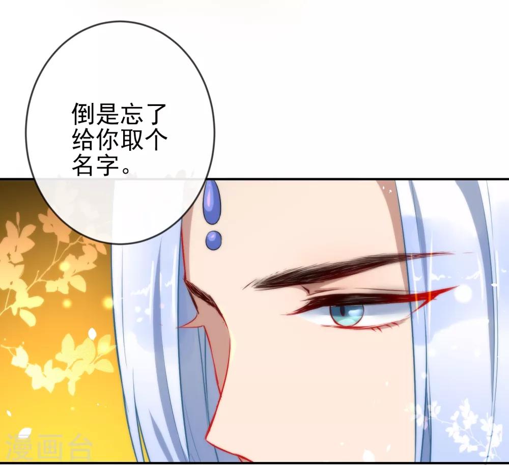 《狼少女养成记》漫画最新章节第6话 倾国之选免费下拉式在线观看章节第【15】张图片