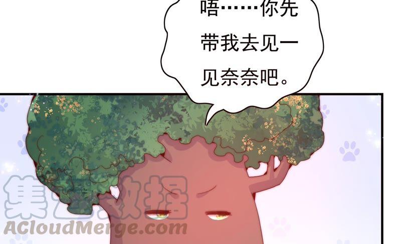 《恋爱先知》漫画最新章节第227话 时空中的影子免费下拉式在线观看章节第【13】张图片