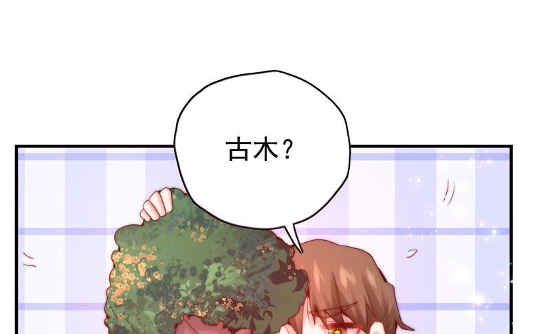 《恋爱先知》漫画最新章节第227话 时空中的影子免费下拉式在线观看章节第【5】张图片