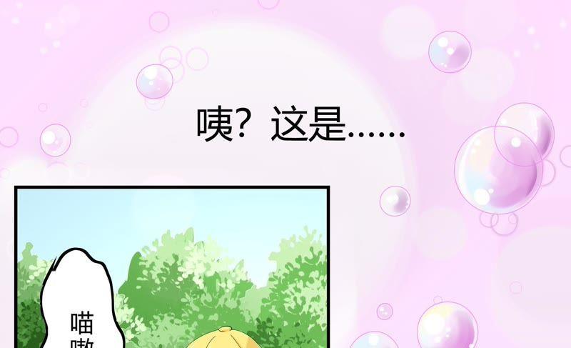 《恋爱先知》漫画最新章节第52话 星坠之地（上）免费下拉式在线观看章节第【22】张图片