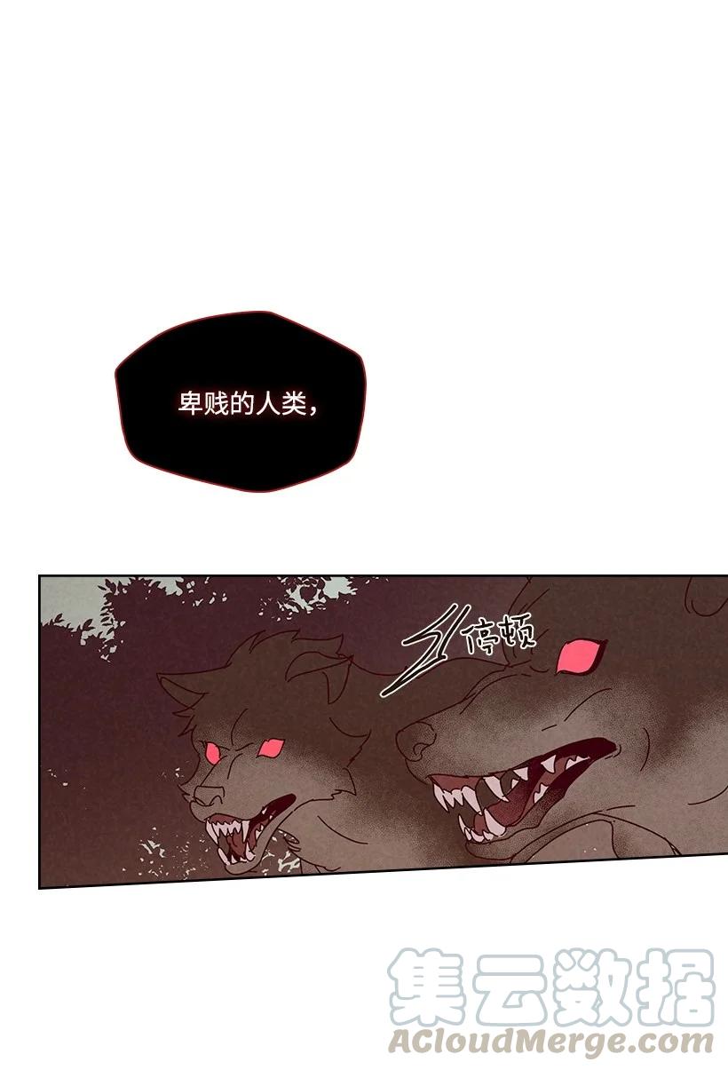 《龙下雨的国家》漫画最新章节119 119免费下拉式在线观看章节第【43】张图片