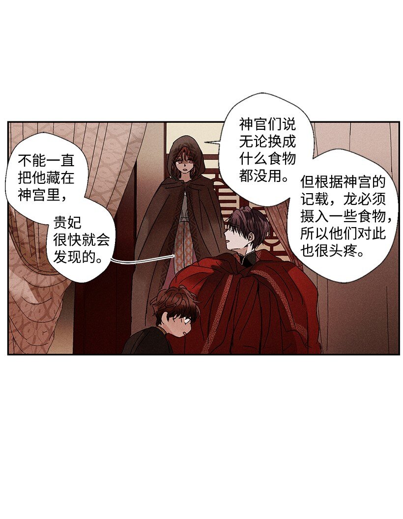 《龙下雨的国家》漫画最新章节3 3免费下拉式在线观看章节第【8】张图片