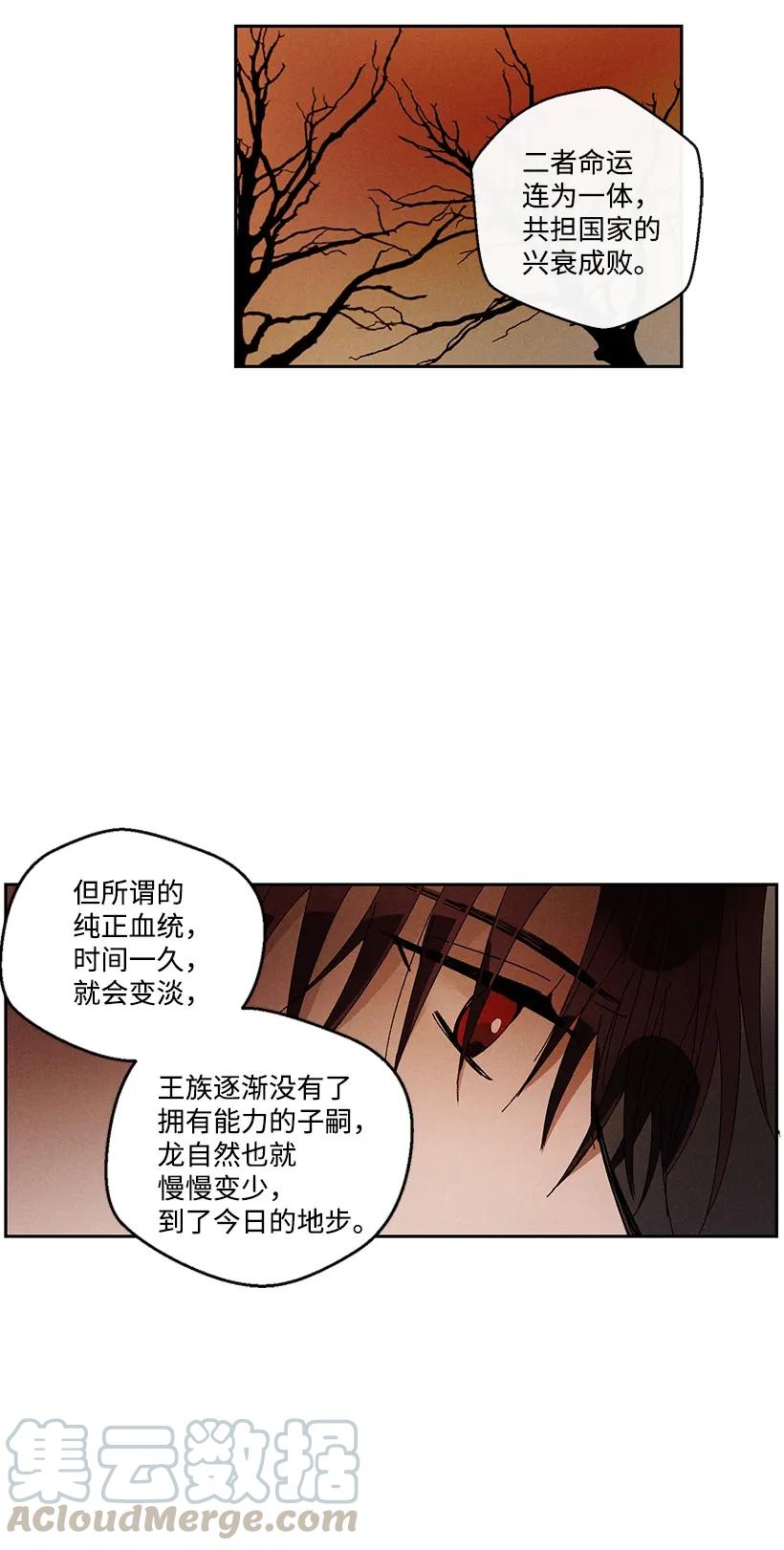 《龙下雨的国家》漫画最新章节25 25免费下拉式在线观看章节第【28】张图片