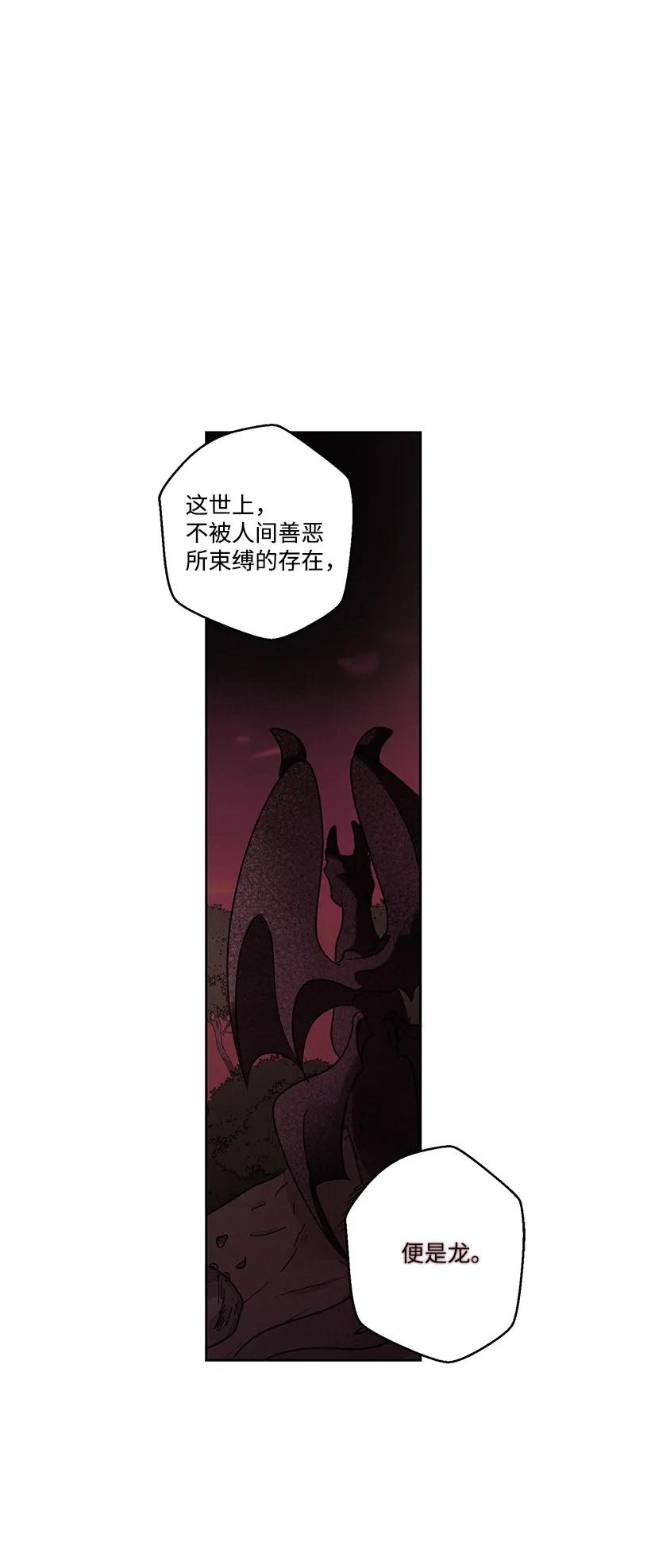 《龙下雨的国家》漫画最新章节25 25免费下拉式在线观看章节第【9】张图片