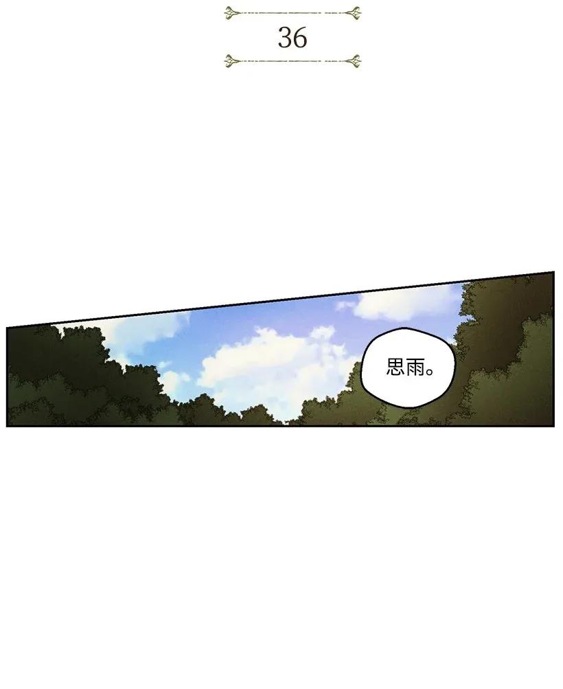 《龙下雨的国家》漫画最新章节36 36免费下拉式在线观看章节第【11】张图片