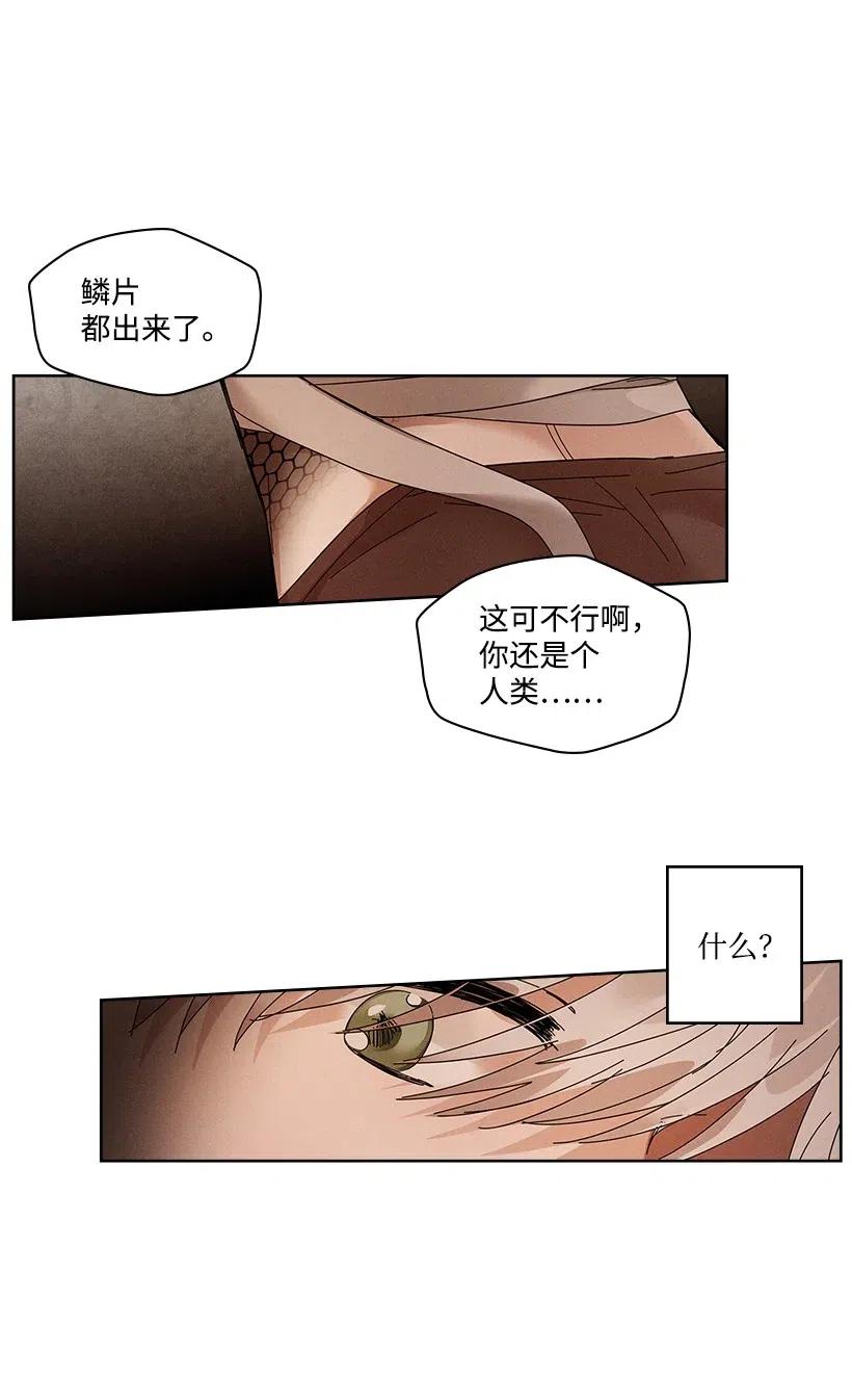 《龙下雨的国家》漫画最新章节80 80免费下拉式在线观看章节第【8】张图片