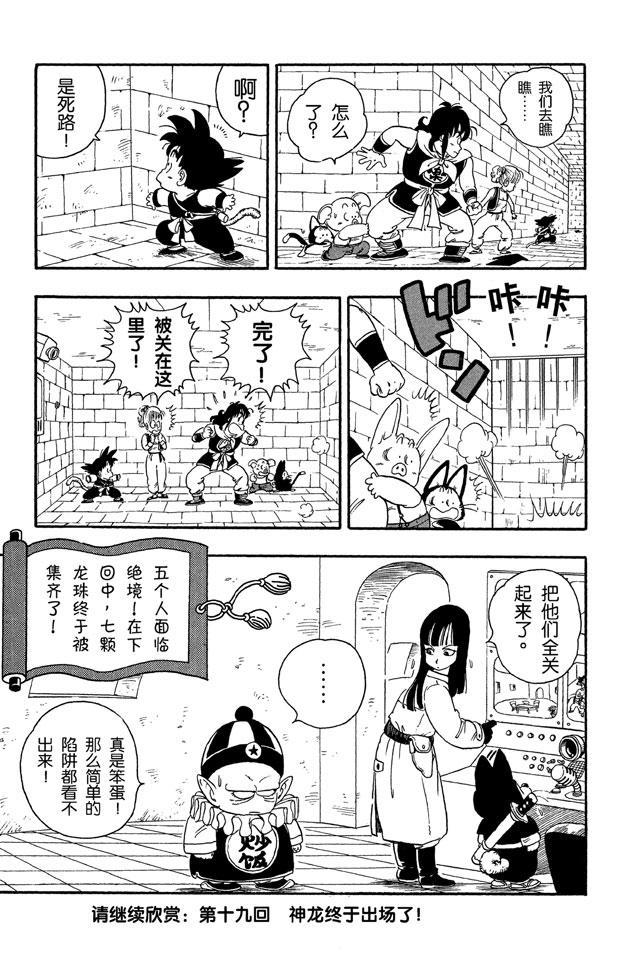 《龙珠》漫画最新章节第18话 龙珠被抢！免费下拉式在线观看章节第【14】张图片