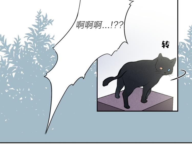 《猫王子的新娘》漫画最新章节第1+2话 你好小猫咪免费下拉式在线观看章节第【140】张图片