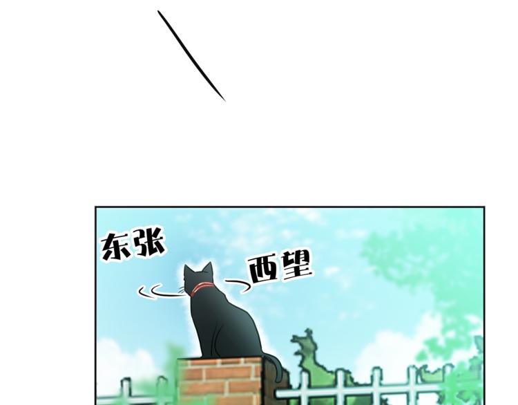 《猫王子的新娘》漫画最新章节第1+2话 你好小猫咪免费下拉式在线观看章节第【244】张图片