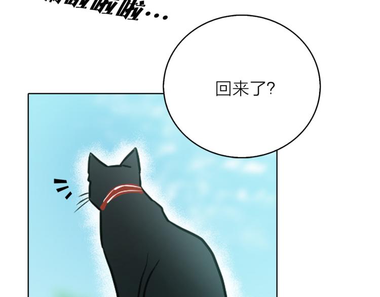 《猫王子的新娘》漫画最新章节第1+2话 你好小猫咪免费下拉式在线观看章节第【335】张图片