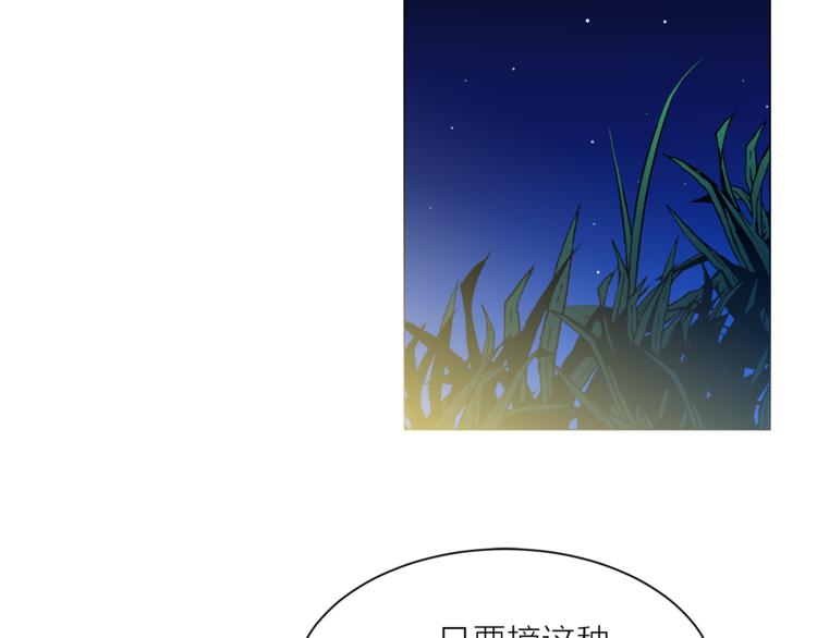 《猫王子的新娘》漫画最新章节第14话 神奇药草免费下拉式在线观看章节第【81】张图片