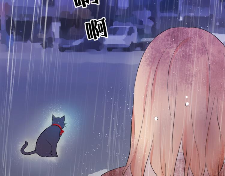 《猫王子的新娘》漫画最新章节第3话 穿越到猫王国！免费下拉式在线观看章节第【62】张图片