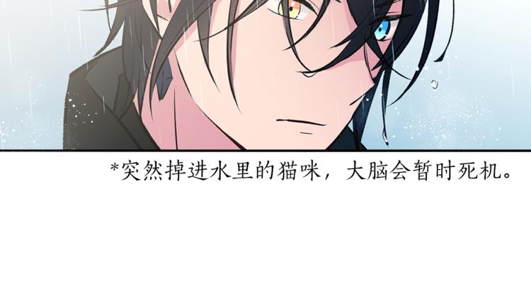 《猫王子的新娘》漫画最新章节第24话 不准靠近免费下拉式在线观看章节第【54】张图片