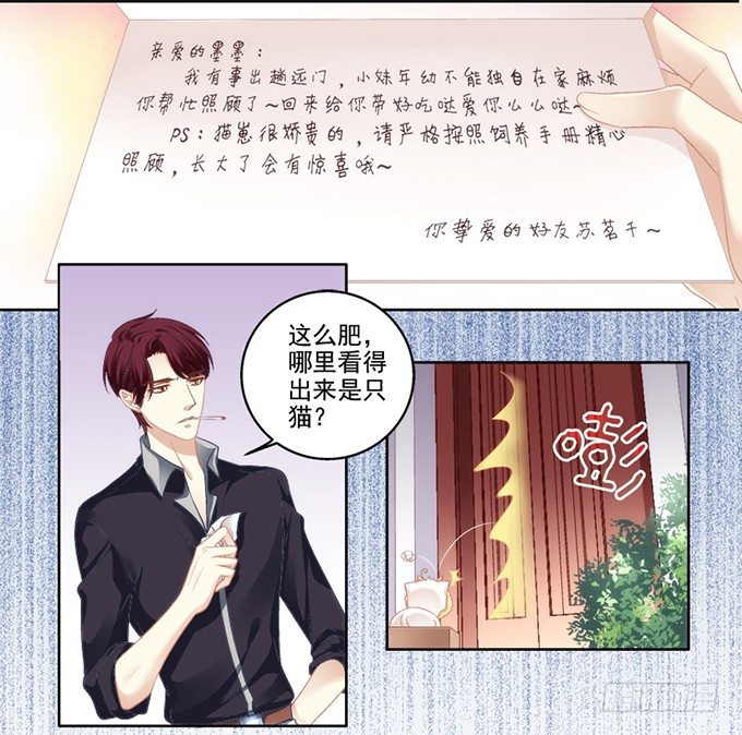 《猫妖的诱惑》漫画最新章节我可以吻你吗？免费下拉式在线观看章节第【17】张图片