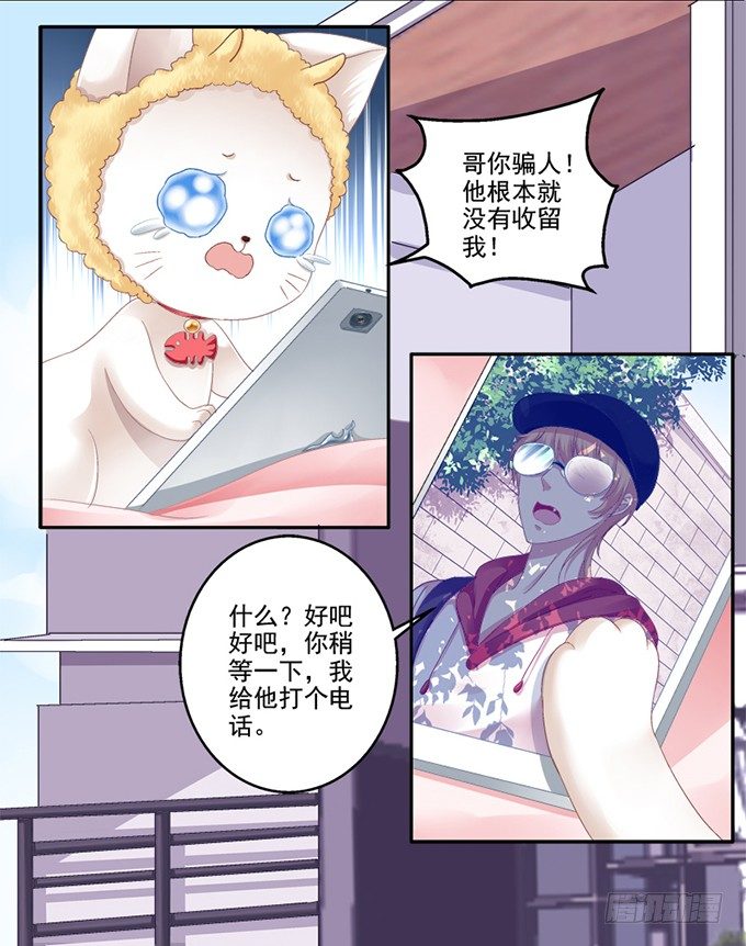 《猫妖的诱惑》漫画最新章节我可以吻你吗？免费下拉式在线观看章节第【19】张图片