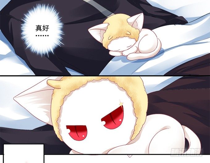 《猫妖的诱惑》漫画最新章节我可以吻你吗？免费下拉式在线观看章节第【29】张图片