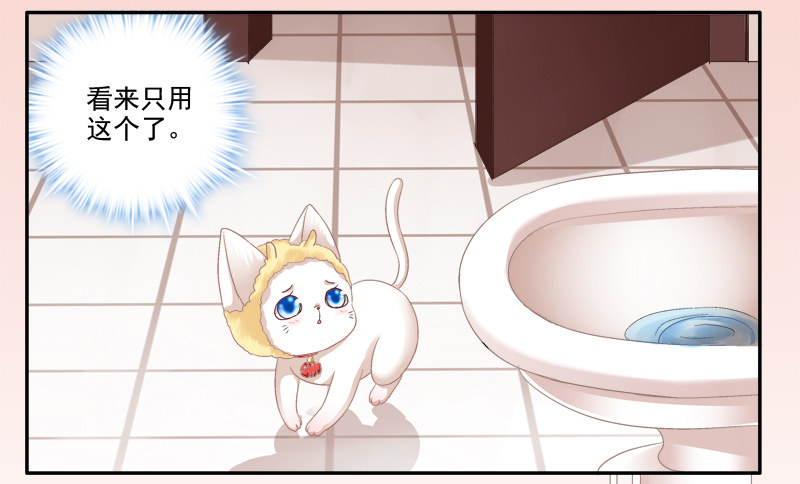 《猫妖的诱惑》漫画最新章节我可以吻你吗？免费下拉式在线观看章节第【49】张图片