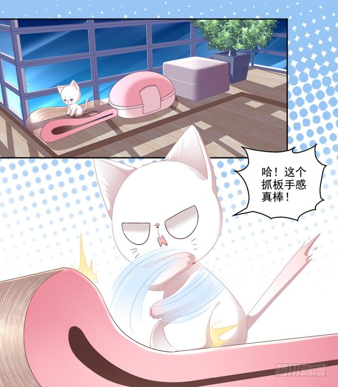 《猫妖的诱惑》漫画最新章节你是我的猫免费下拉式在线观看章节第【10】张图片