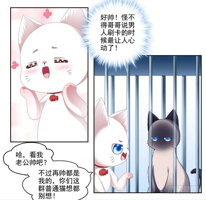 《猫妖的诱惑》漫画最新章节你是我的猫免费下拉式在线观看章节第【5】张图片