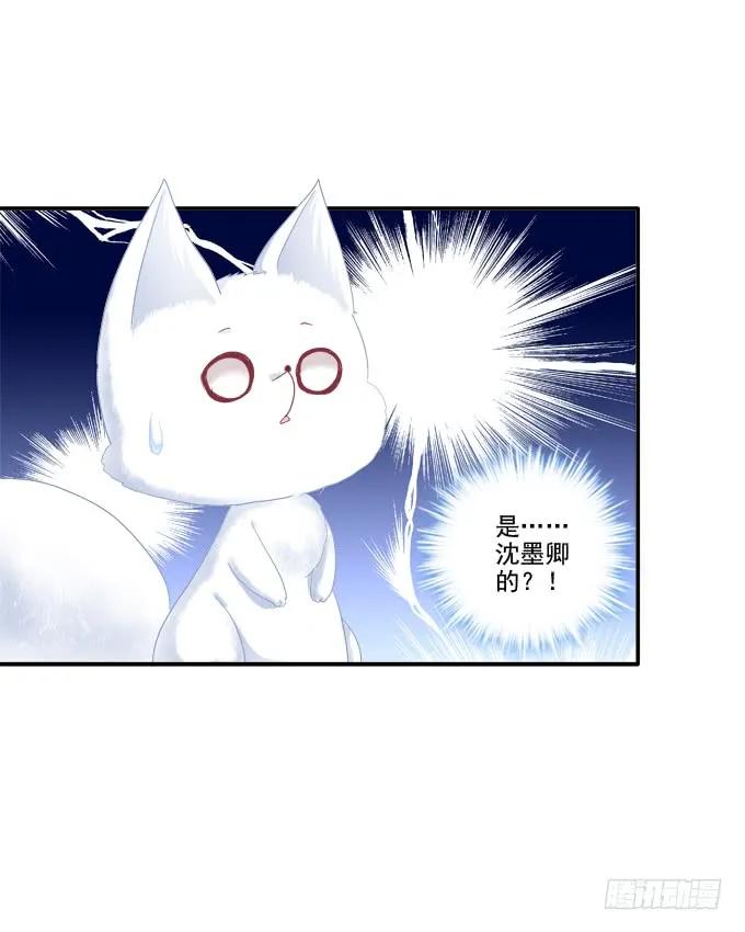 《猫妖的诱惑》漫画最新章节走入陷阱免费下拉式在线观看章节第【42】张图片