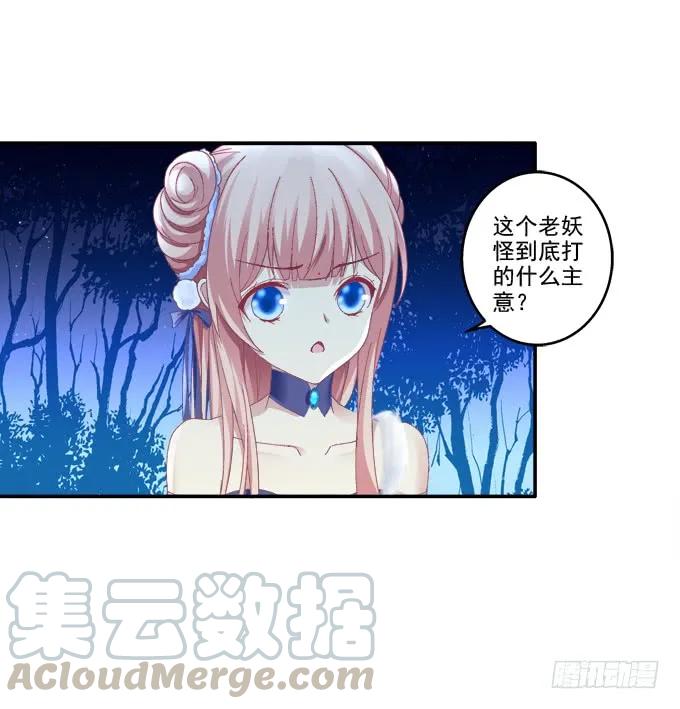 《猫妖的诱惑》漫画最新章节孰生孰死免费下拉式在线观看章节第【4】张图片