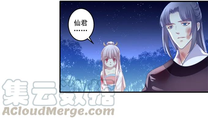 《猫妖的诱惑》漫画最新章节跟我走吧免费下拉式在线观看章节第【37】张图片