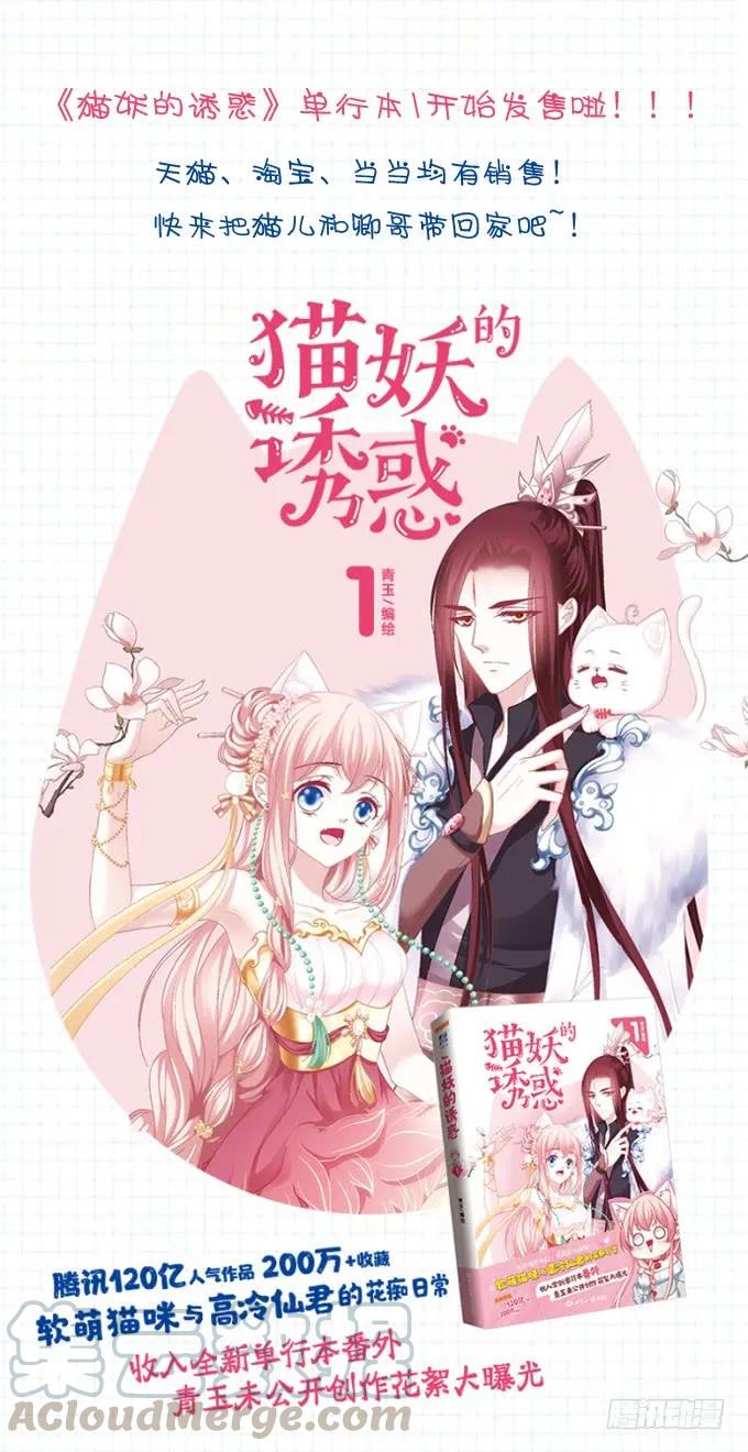 《猫妖的诱惑》漫画最新章节拨云见日免费下拉式在线观看章节第【5】张图片