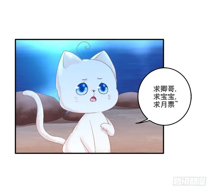 《猫妖的诱惑》漫画最新章节伤别离免费下拉式在线观看章节第【51】张图片