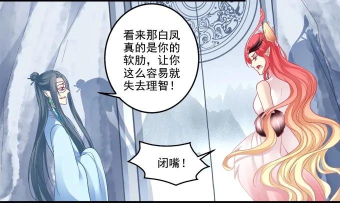 《猫妖的诱惑》漫画最新章节朱雀诱惑免费下拉式在线观看章节第【11】张图片