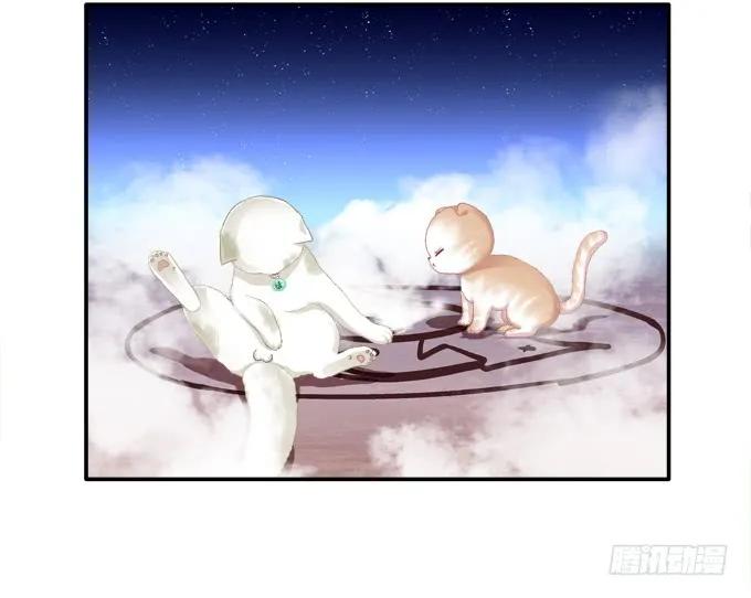 《猫妖的诱惑》漫画最新章节迷之救兵免费下拉式在线观看章节第【43】张图片