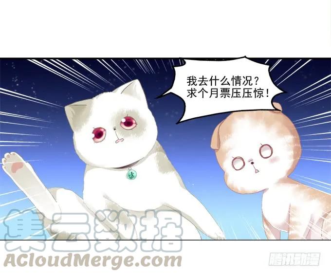 《猫妖的诱惑》漫画最新章节迷之救兵免费下拉式在线观看章节第【49】张图片