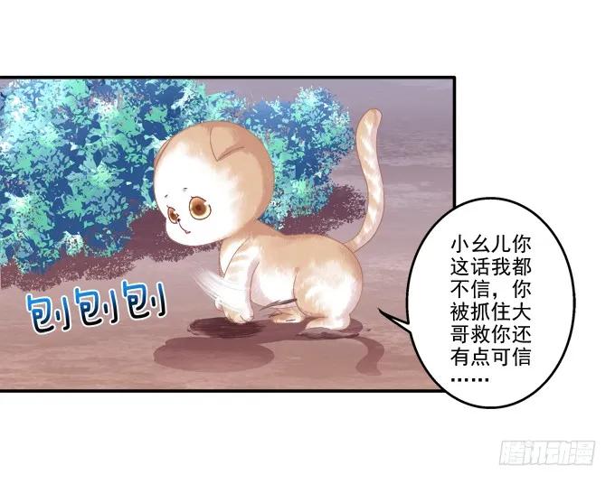 《猫妖的诱惑》漫画最新章节英猫救美！免费下拉式在线观看章节第【12】张图片