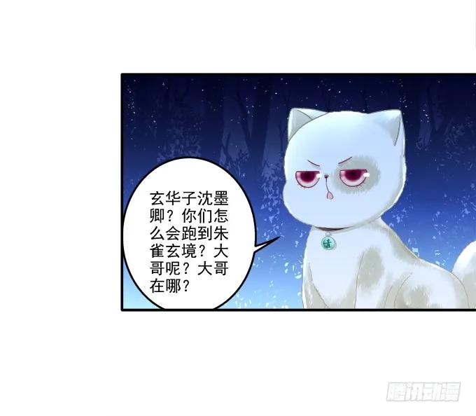 《猫妖的诱惑》漫画最新章节英猫救美！免费下拉式在线观看章节第【15】张图片