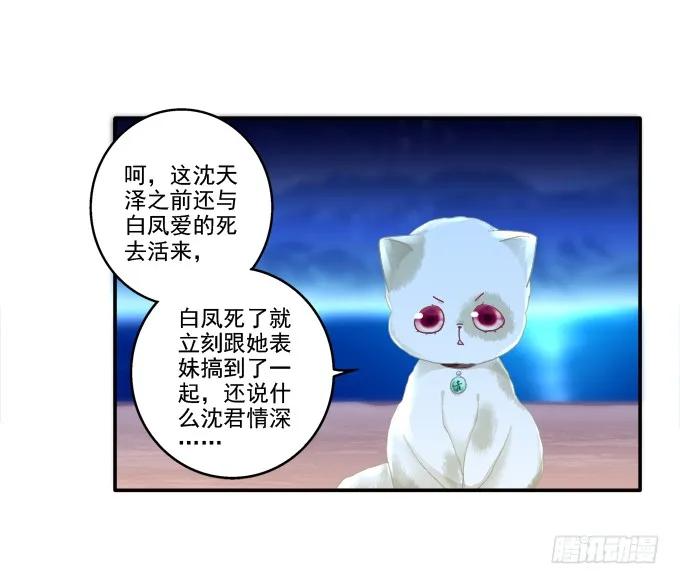 《猫妖的诱惑》漫画最新章节英猫救美！免费下拉式在线观看章节第【40】张图片