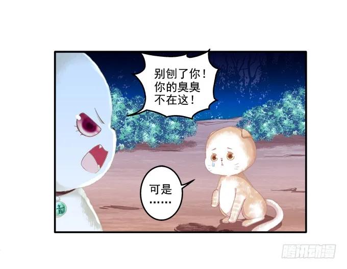 《猫妖的诱惑》漫画最新章节英猫救美！免费下拉式在线观看章节第【43】张图片