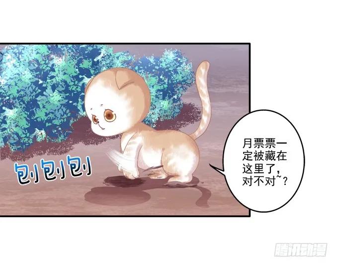 《猫妖的诱惑》漫画最新章节英猫救美！免费下拉式在线观看章节第【58】张图片