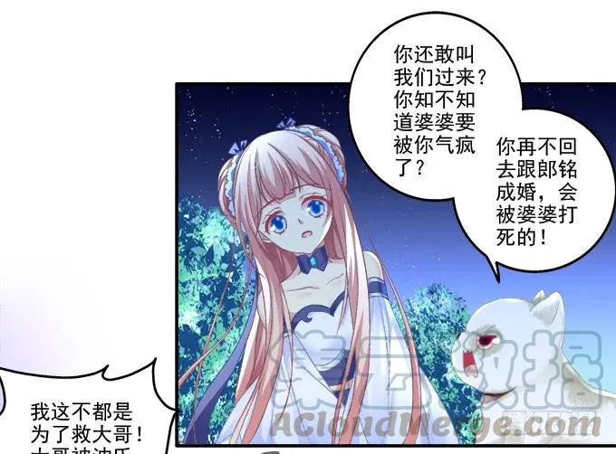 《猫妖的诱惑》漫画最新章节英猫救美！免费下拉式在线观看章节第【9】张图片