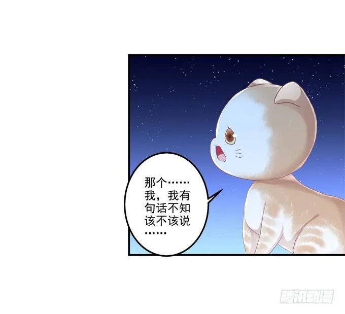 《猫妖的诱惑》漫画最新章节乔装潜入免费下拉式在线观看章节第【14】张图片