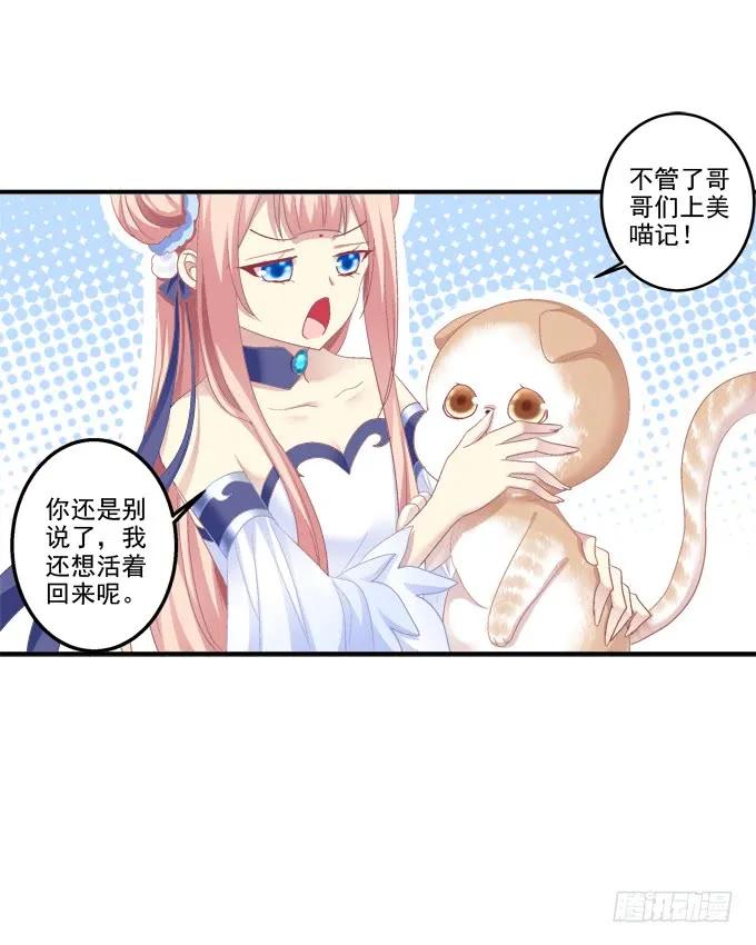 《猫妖的诱惑》漫画最新章节乔装潜入免费下拉式在线观看章节第【15】张图片